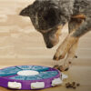 Interactive Educational Hide Treat Puzzle Dog Toy