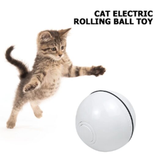 Interactive 360-Degree Pet LED Infrared Laser Ball Toy