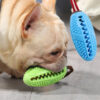 Interactive Dog Tooth Cleaning Ball Treat Chewing Toy