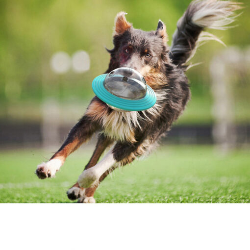 Interactive Dog Food Leak Dispensing Puzzle Bowl