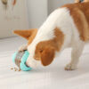 Interactive Pet Food Leaking Ball Tumbler Training Toy