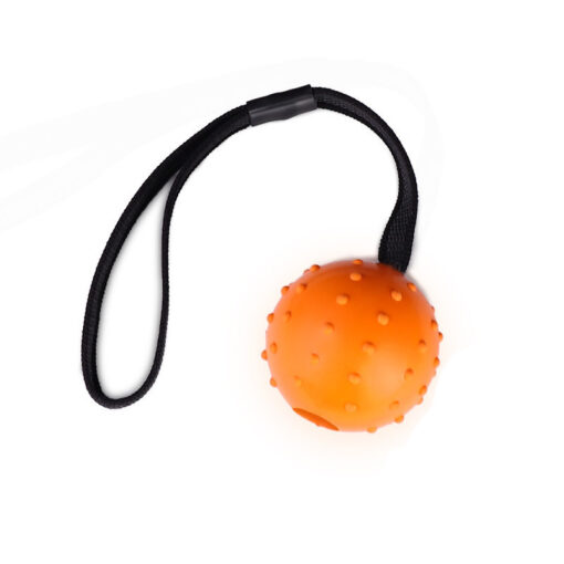 Interactive Dog Training Bite Resistant Rubber Ball Toy - Image 5