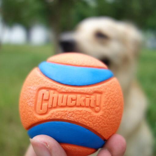 Interactive Bite-resistant Fetch Rubber Ball Chew Toy