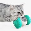 Interactive Slow Food Eating Ball Balance Pet Toy