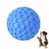 Interactive Pet Molar Chewing Ball Squeaky Toy
