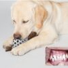Multi-Functional Dog Food Leaking Teeth Cleaning Toy