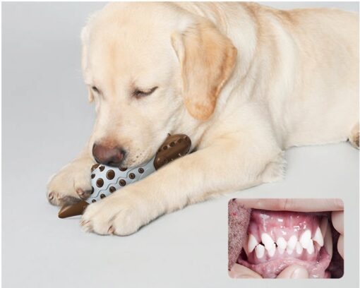 Multi-Functional Dog Food Leaking Teeth Cleaning Toy