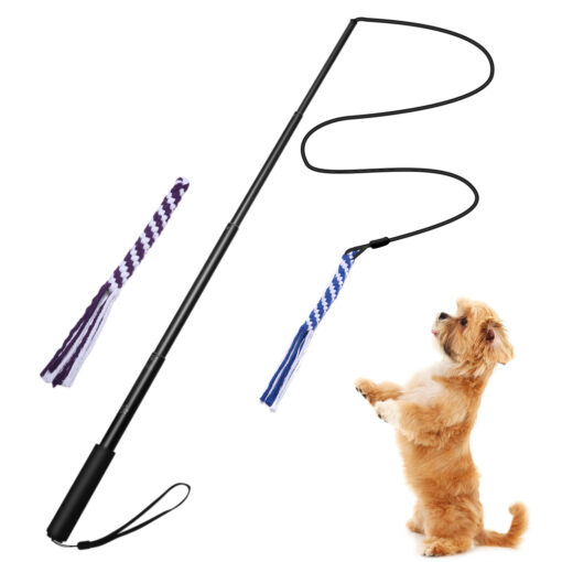 Interactive Funny Flirt Pole Dog Walker Stick Toy