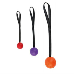 Interactive Dog Training Bite Resistant Rubber Ball Toy