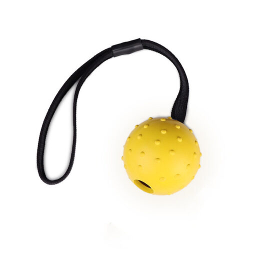 Interactive Dog Training Bite Resistant Rubber Ball Toy - Image 4