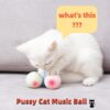 Interactive Self-Hi Cat Music Ball Sounds Fetch Toys