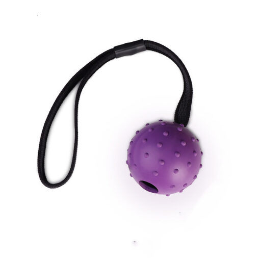 Interactive Dog Training Bite Resistant Rubber Ball Toy - Image 6