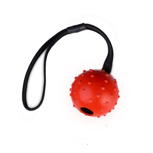 Interactive Dog Training Bite Resistant Rubber Ball Toy