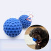 Interactive Pet Molar Chewing Ball Squeaky Toy