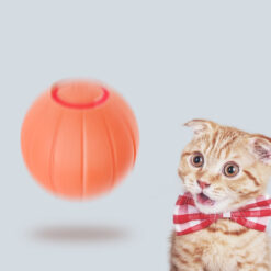 Funny Silicone Smart Bouncing Rolling Cat Ball Toy
