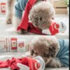 Anti-boring Dog Sniffing Educational Leaking Bite Toy