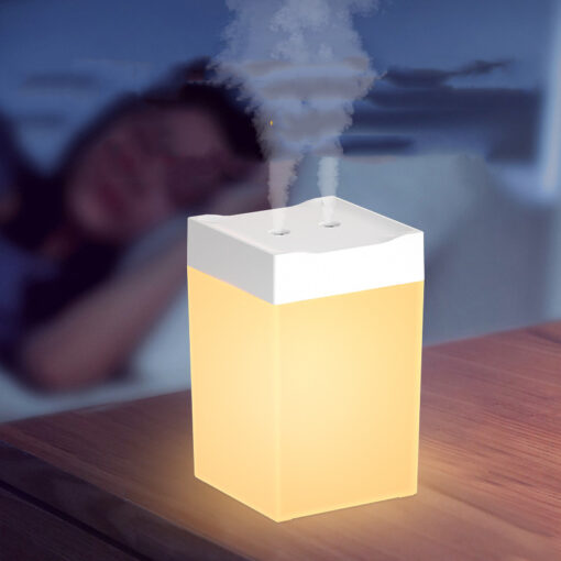 Mini Night Light Double Mist Spray Humidifier