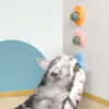 Interactive Catnip Mint Rotating Ball Chew Toy