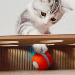 Interactive Intelligent Tickle Cat Nibble Ball Toy