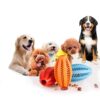 Pet Chewing Molars Teeth Cleaning Ball Puzzle Toy
