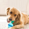 Rotatable Pet Slow Feeding Food Leakage Ball Toys