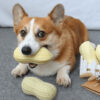Interactive Dog Sounds Peanuts Squeaker Toy