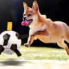 Multifunctional Pet Football Rope Outdoor Training Toy