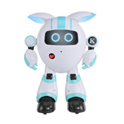 Multifunctional Intelligent Remote Control Robot Toy