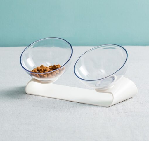 Silicone Pet Oblique Food Feeder Double Bowl