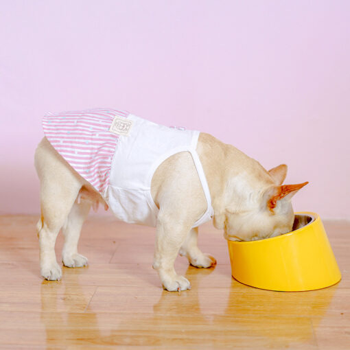 Ergonomic Stainless Steel Dog Food Oblique Bowl