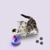 Interactive Transparent Ball Training Cat Glow Balls Toys