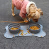Portable Non-slip Silicone Double Pet Food Water Bowl