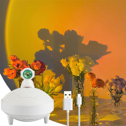 360 Degree Rotating Astronaut Sunset Lamp Humidifier