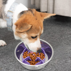Anti Overturning Pet Suction Cup Slow Feeder Bowl