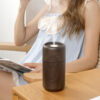 Portable Mini Night Light Ultrasonic Humidifier