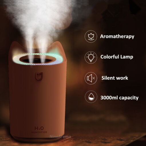 USB Charging Large Capacity Dual Nozzles Humidifier