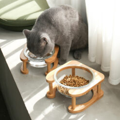 Portable Non-slip Pet Glass Food Feeder Bowl