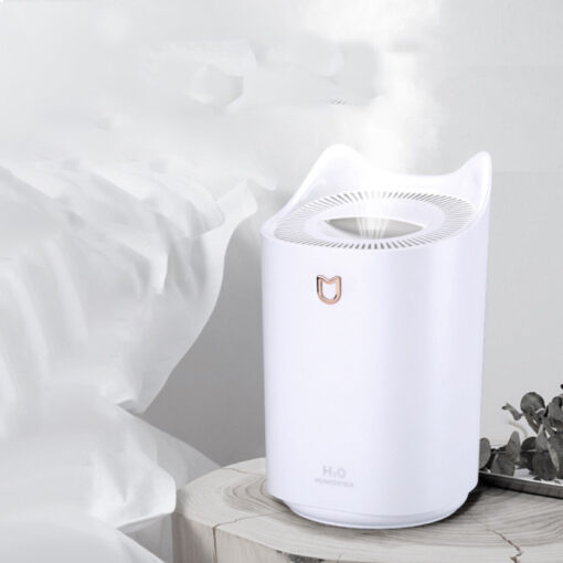 USB Charging Large Capacity Dual Nozzles Humidifier