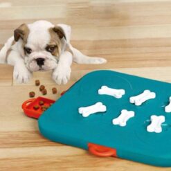 Interactive Pet Food Treasure Hunt Puzzle Feeder Toy