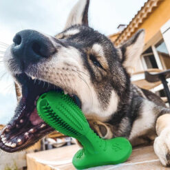 Durable Dog Toothbrush Bite Resistant Molar Toy