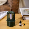 Creative Mini Birdcage USB Aromatherapy Humidifier