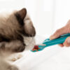 Creative Cat Strip Squeezes Feeder Snack Spoon