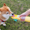 Portable One-handed Pets Feeding Water Feeding Cup