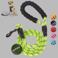 Portable Luminous Pet Dog Traction Belt Leash