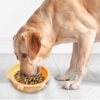 Multi-functional Suction Cup Pet Slow Food Bowl