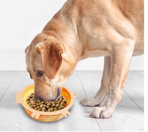 Multi-functional Suction Cup Pet Slow Food Bowl