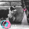 Automatic LED Telescopic Pets Traction Rope