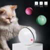 Funny Electronic LED Laser Rolling Pet Cat Ball Toy