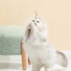 Interactive Cat Telescopic Rod Laser Feather Stick Toy