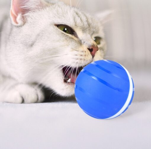 Waterproof USB Charging Led Rolling Flash Ball Pet Toy - Image 5